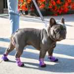 City Shoes™ - Purple Haze - Image 5