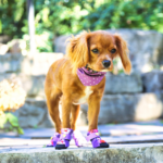 City Shoes™ - Purple Haze - Image 9