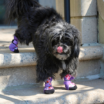 City Shoes™ - Purple Haze - Image 6