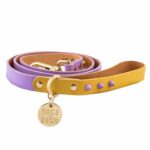 Spike Leash- Lilac/Yellow