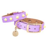 Spike Leash- Lilac/Yellow - Image 2